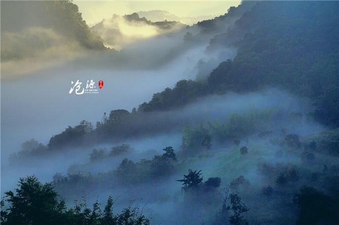 植物大战僵尸18
