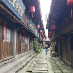 逃离变色龙森林